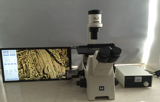 Trinocular Inverted ทางชีวภาพ กล้องจุลทรรศน์ สำหรับการเพาะเลี้ยงเซลล์วิจัย